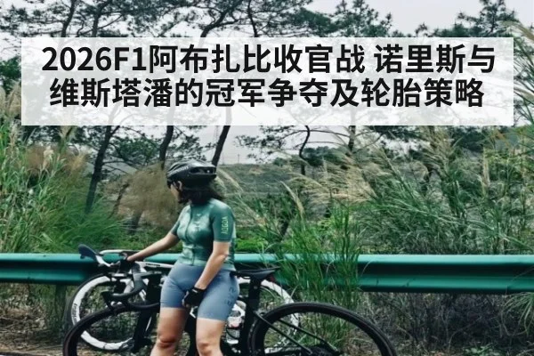 2026F1阿布扎比收官战 诺里斯与维斯塔潘的冠军争夺及轮胎策略